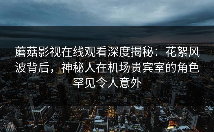 蘑菇影视在线观看深度揭秘：花絮风波背后，神秘人在机场贵宾室的角色罕见令人意外