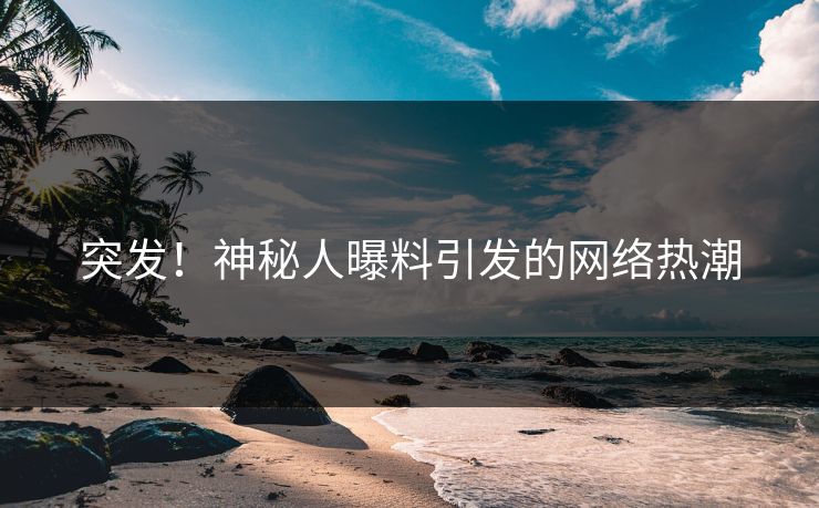 突发！神秘人曝料引发的网络热潮