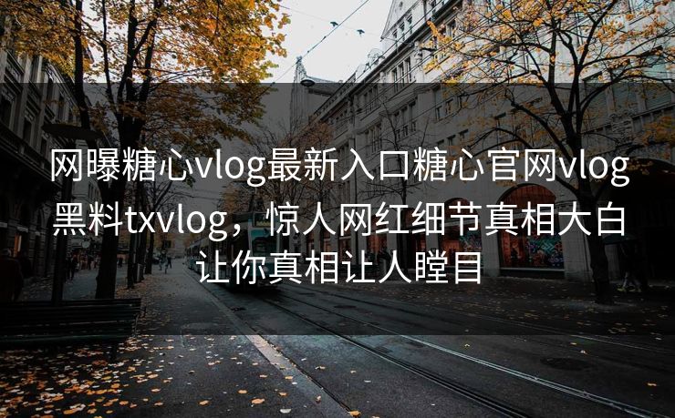 网曝糖心vlog最新入口糖心官网vlog黑料txvlog，惊人网红细节真相大白让你真相让人瞠目
