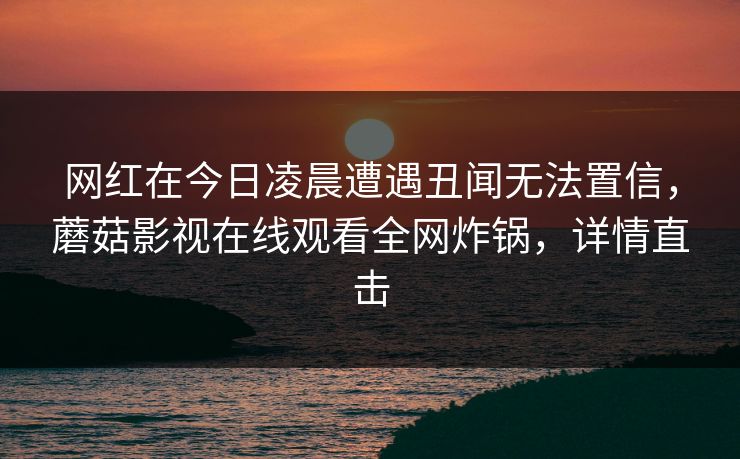 网红在今日凌晨遭遇丑闻无法置信，蘑菇影视在线观看全网炸锅，详情直击